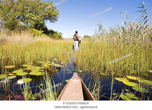 Botswana, North-west district, Okavango delta, crossing the marshes in mokoro, pirogue