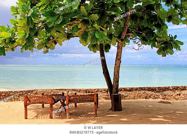 beach chair under tropical tree at the beach, Tanzania, Sansibar