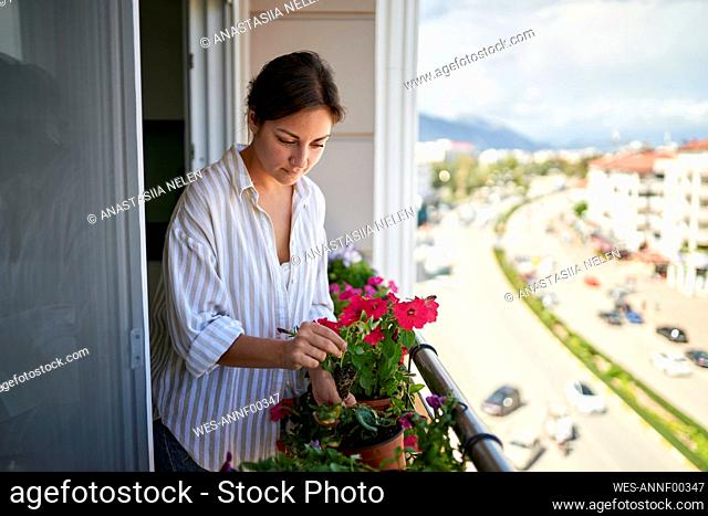 Woman taking care of flowering plants in balcony
