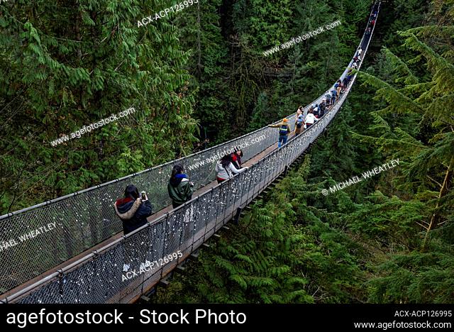 Capilano Suspension Bridge Park, North Vancouver, British Columbia, Canada
