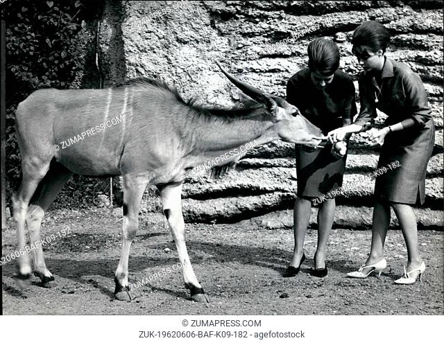 Jun. 06, 1962 - The new 'Eurocolor' Stocking Colour: antilope: We met Leonre and Rosemarie Bahner, daughters of a well-known German stocking fracture of...