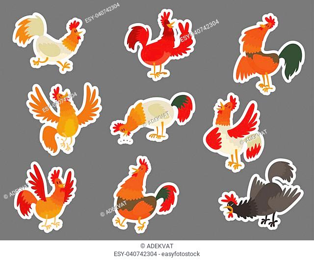 Cute cartoon rooster illustration chicken farm animal agriculture domestic rooster farm character. Hen fowl color beak fowl cockerel organic torching bird