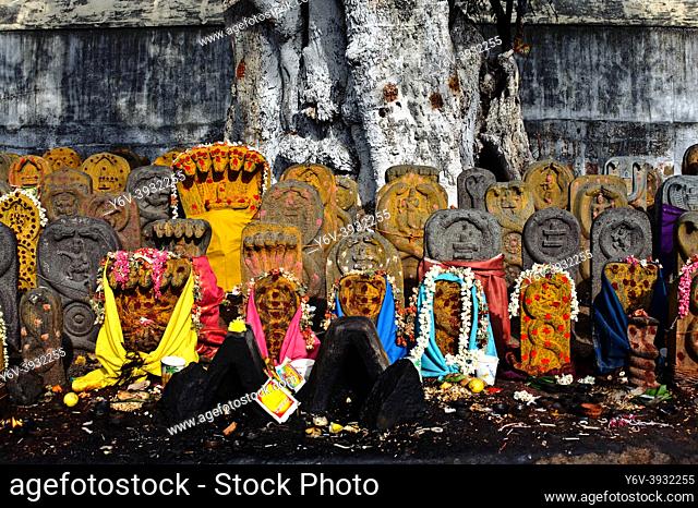 """""Naga"" altars ( Kanchipuram, India). The ""naga"" cult ( or snake cult) is a common worship in India. Snake stones are still common in rural south India