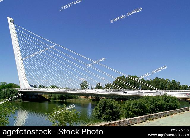 Sevilla (Spain). Alamillo Bridge in Seville