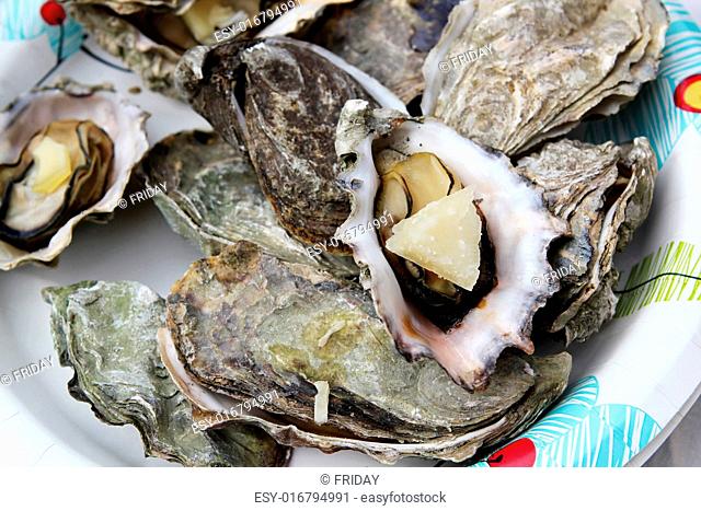 Open fresh oysters with cheese