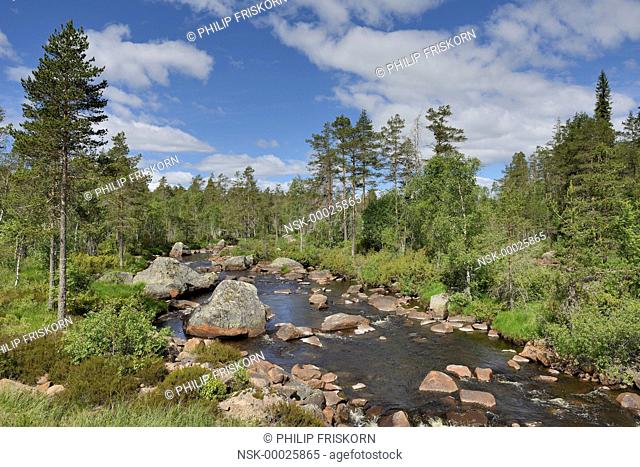 The river Foskan in the province of Dalarna with rocks, Sweden, Dalarna, Långfjällets Naturreservat