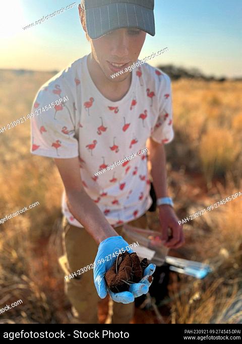 PRODUCTION - 27 July 2023, South Africa, Kuruman: Researcher Daniel Rossouw shows the dead port of a pangolin. It is a very rare and important find for science