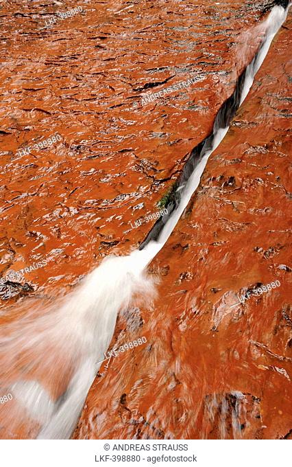 Water running through crack in rock, Subway, North Creek, Zion National Park, Utah, Southwest, USA, America
