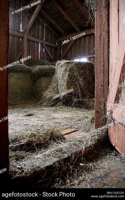 Hay store in the farm, hay, round bales for animal feeding, Upper Bavaria