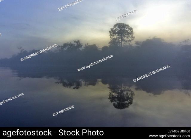 Amazon river, Sunrise view, Brazil, South America