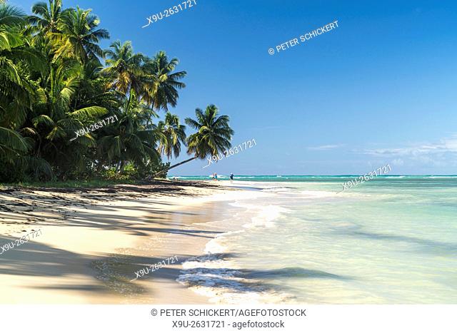 palm fringed sandy beach of El Portillo, Las Terrenas, Samana, Dominican Republic, Carribean, America,