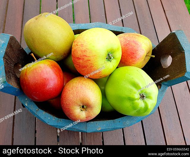 Alte Apfelsorten, verschiedene, Apfel, Malus, domestica