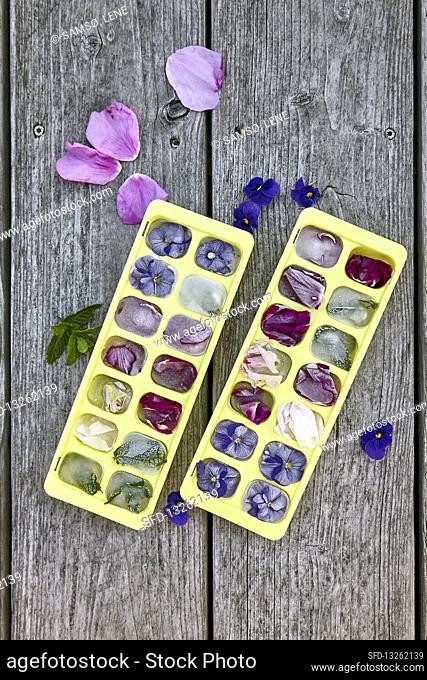 Ice cubes with flower inclusions