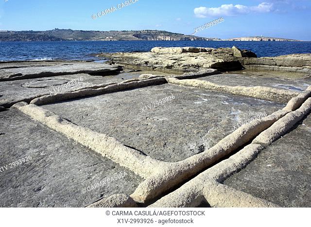 saltworks dug into the rock, Armier Bay. Malta
