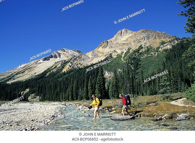 Female backpackers crossing the Little Yoho River, Iceline Trail, Yoho National Park, British Columbia, Canada
