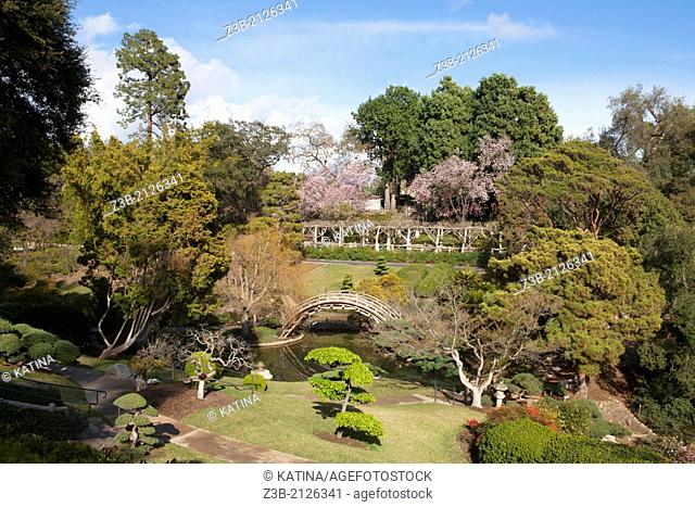 Springtime in the Japanese Gardens at Huntington Gardens and Library, San Marino, California, USA