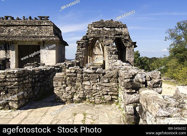 Roof terrace, palace, Palenque, Chiapas, Mexico, Central America