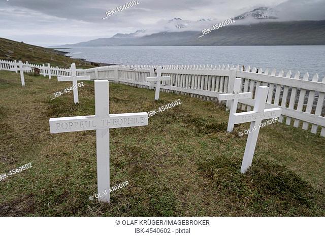 Grave crosses, cemetery for French sailors, Fáskrúðsfjörður, East Fjords, East Island, Island
