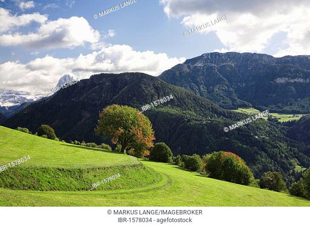 Landscape in autumn, Val Gardena, Dolomites, Trentino-Alto Adige, Italy, Europe