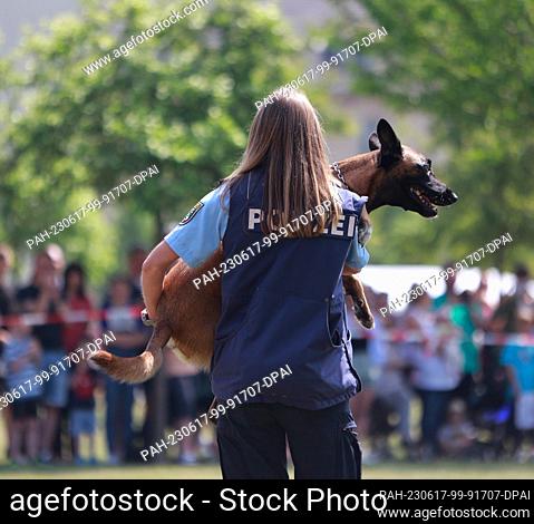 17 June 2023, Saxony-Anhalt, Aschersleben: A police dog handler shows excerpts from her work with a police dog on the grounds of the Police University of...