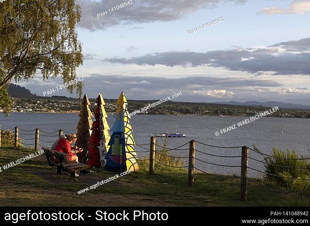 Artificial Weihaftertsbaeume (Weihaftertsbaume) on the shores of Lake Taupo, crater lake, caldera, volcanic lake; a couple (parchen) sits on a bench in front of...