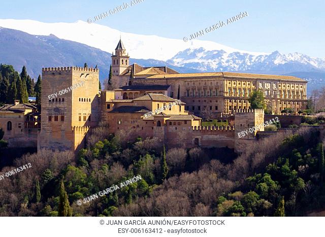The Alhambra of Granada in Spain with Sierra Nevada snowy mountains as backgorund . Photo taken from the Albaicin, the moorish district of Granada