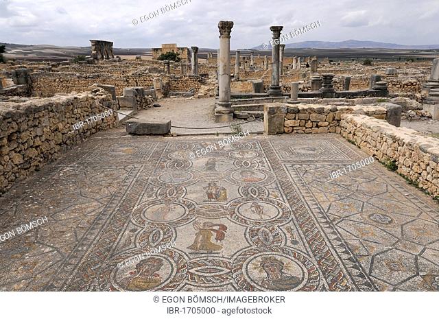 Floor mosaic, archaeological excavation of the ancient Roman city Volubilis, UNESCO World Heritage Site, Morocco, Africa