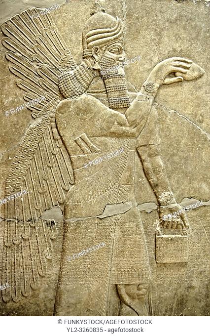 Chaldean Assyrian relief sculpture slab from the northwest palace of King Ashurnasirpal II of a Genie standing. 881-859 B