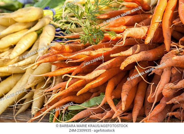 Yellow and orange carrots are on display at a farmers market in San Francisco, CA, USA