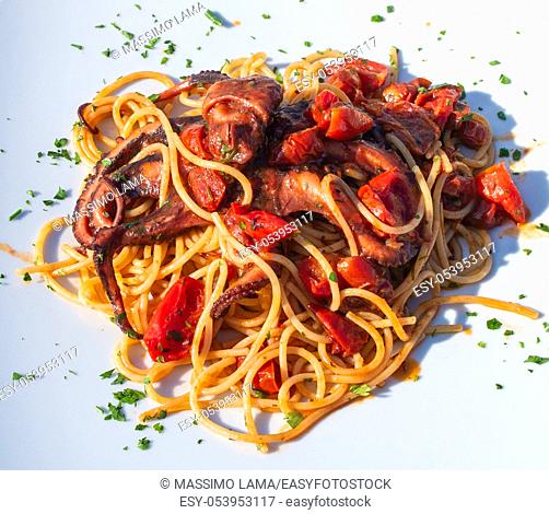 Spaghetti alla Luciana, traditional dish with octiopus and tomato sauce