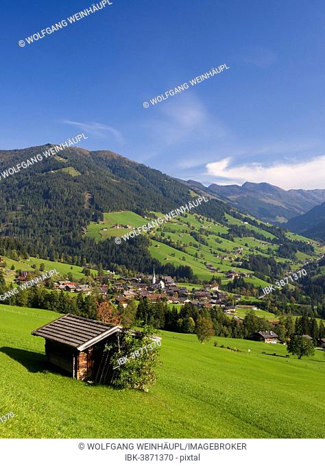 Kitzbühel Alps, Alpbach valley, Alpbach, Tyrol, Austria