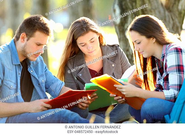 Three students studying memorizing notes sitting on the grass in a park with a warm light