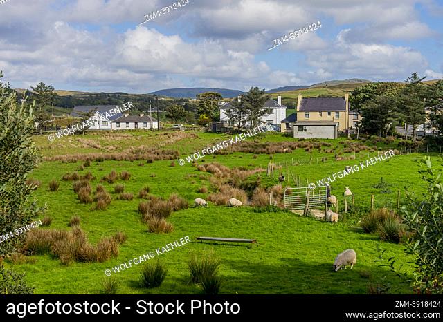 Houses and sheep in County Donegal, Ireland