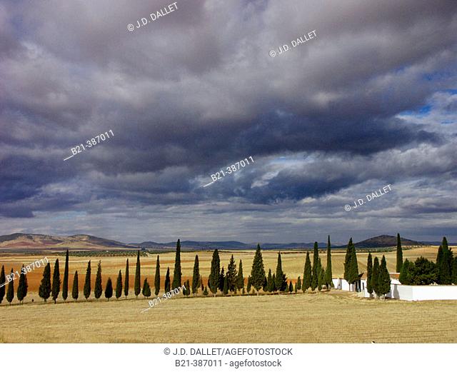 La Mancha landscape by Santa Cruz de Mudela. Ciudad Real. Spain