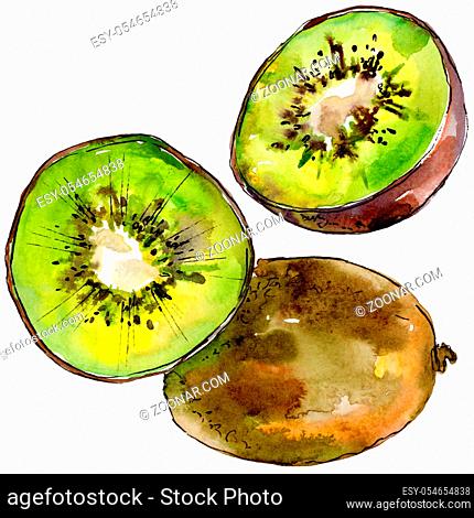 Exotic kiwi healthy food in a watercolor style isolated. Full name of the fruit: kiwi. Aquarelle wild fruit for background, texture, wrapper pattern or menu