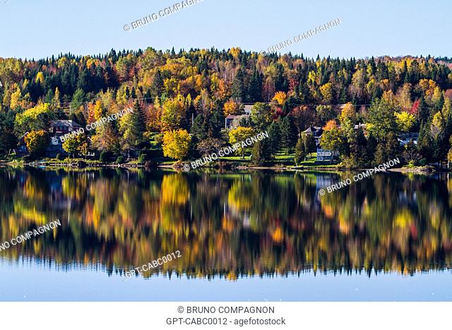 LAKE ETCHEMIN, MAPLE TREES, INDIAN SUMMER, AUTUMN COLORS, CHAUDIERE-APPALACHES, QUEBEC, CANADA