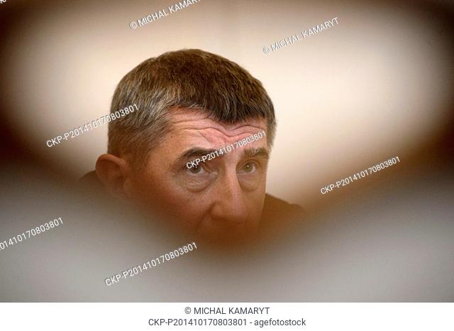 Andrej Babis, Czech minister of finance and chairman of the political part ANO, speaks during an interview with CTK in Prague, Czech Republic, October 17, 2014