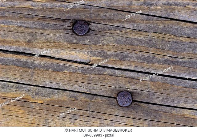 Rusty nails in a weathered, cracked wooden board