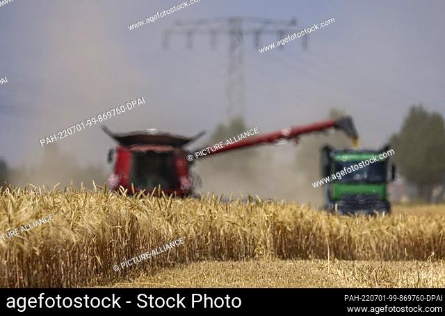 30 June 2022, Saxony, Rehbach: In the shimmering summer heat, a combine harvester from Agrarprodukte Kitzen e.G. harvests barley in a field near Leipzig
