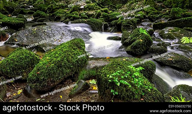 Kennall river in Kennall Vale Nature Reserve, Ponsanooth, Cornwall, United Kingdom