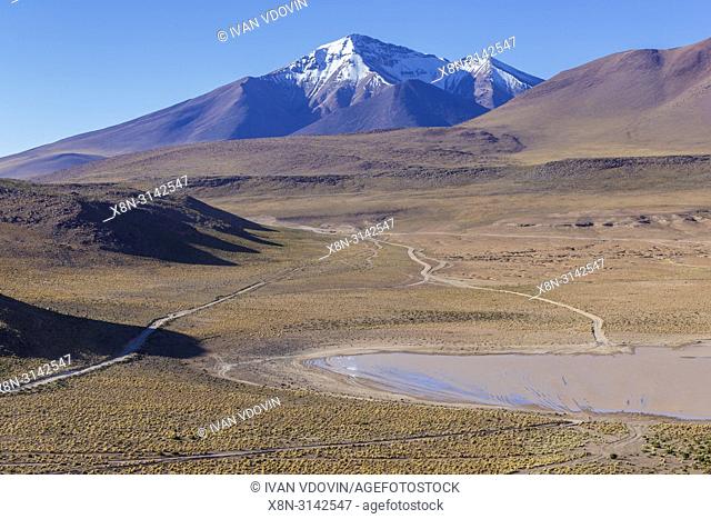 Andes, near Laguna Canapa, Potosi department, Bolivia