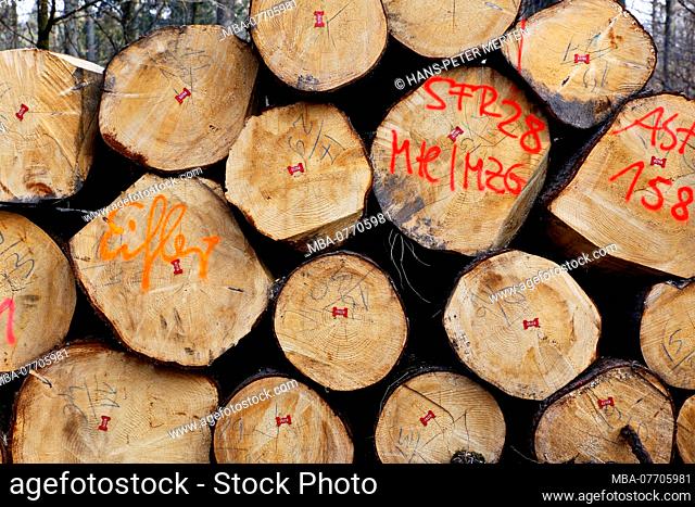 Forestry, stacked logs in forest, Orscholz, Saarland, Germany