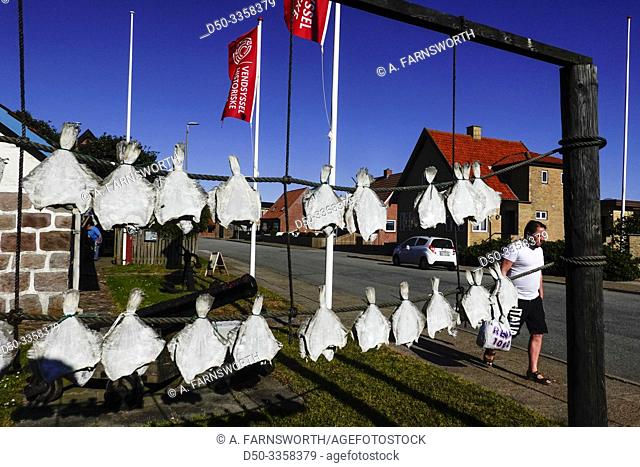 Hirtshals, Denmark A man walks by the local useum with dried cod fish hanging on lines