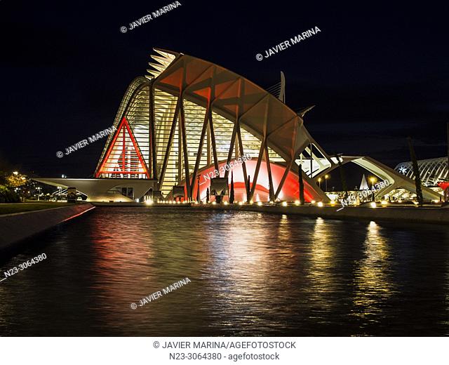 Christmas illumination at the Prince Felipe Museum in the City of Arts and Sciences, Valencia, Spain