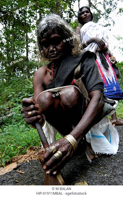 OLD TRIBAL WOMAN OF WAYANAD DISTRICT