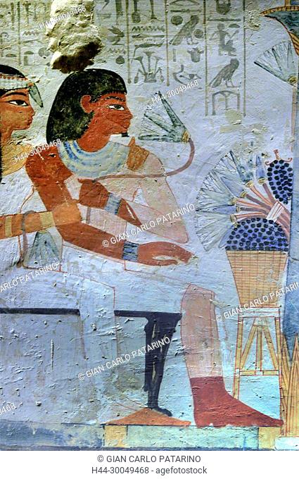 Luxor, Egypt, tomb of Menna or Menena (TT69) in the Nobles Tombs (Sheikh Abd El-Qurna necropolis): beautiful scenes of life