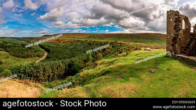 North York Moors landscape, looking over Newtondale with Skelton Tower on the right, seen from the Levisham Moor, North Yorkshire, England, UK