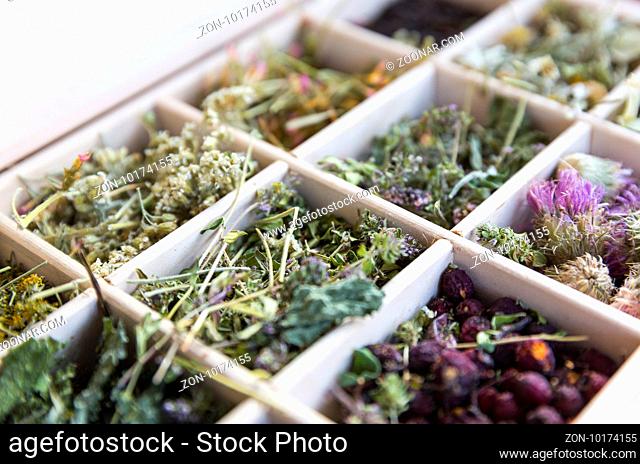 Different dried herbs in a wooden tea box