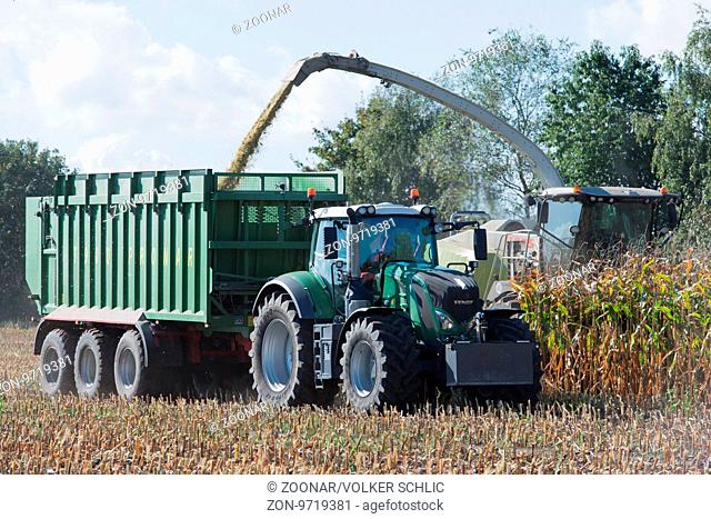 Maize harvester with tractor at the corn harvest