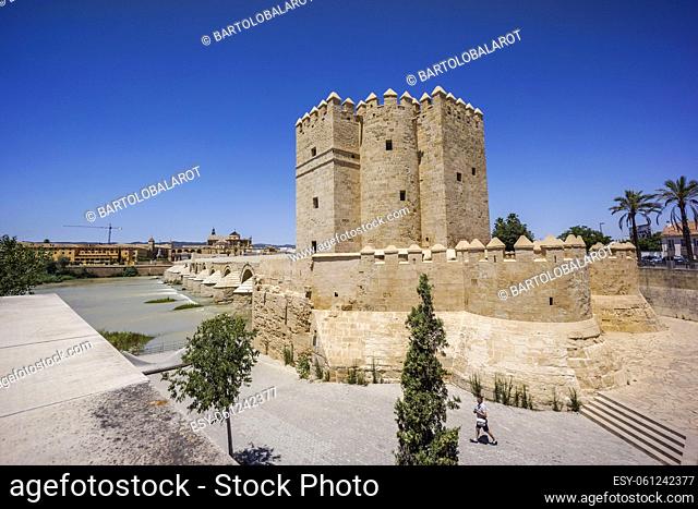 Calahorra tower, Cordoba, Andalusia, Spain